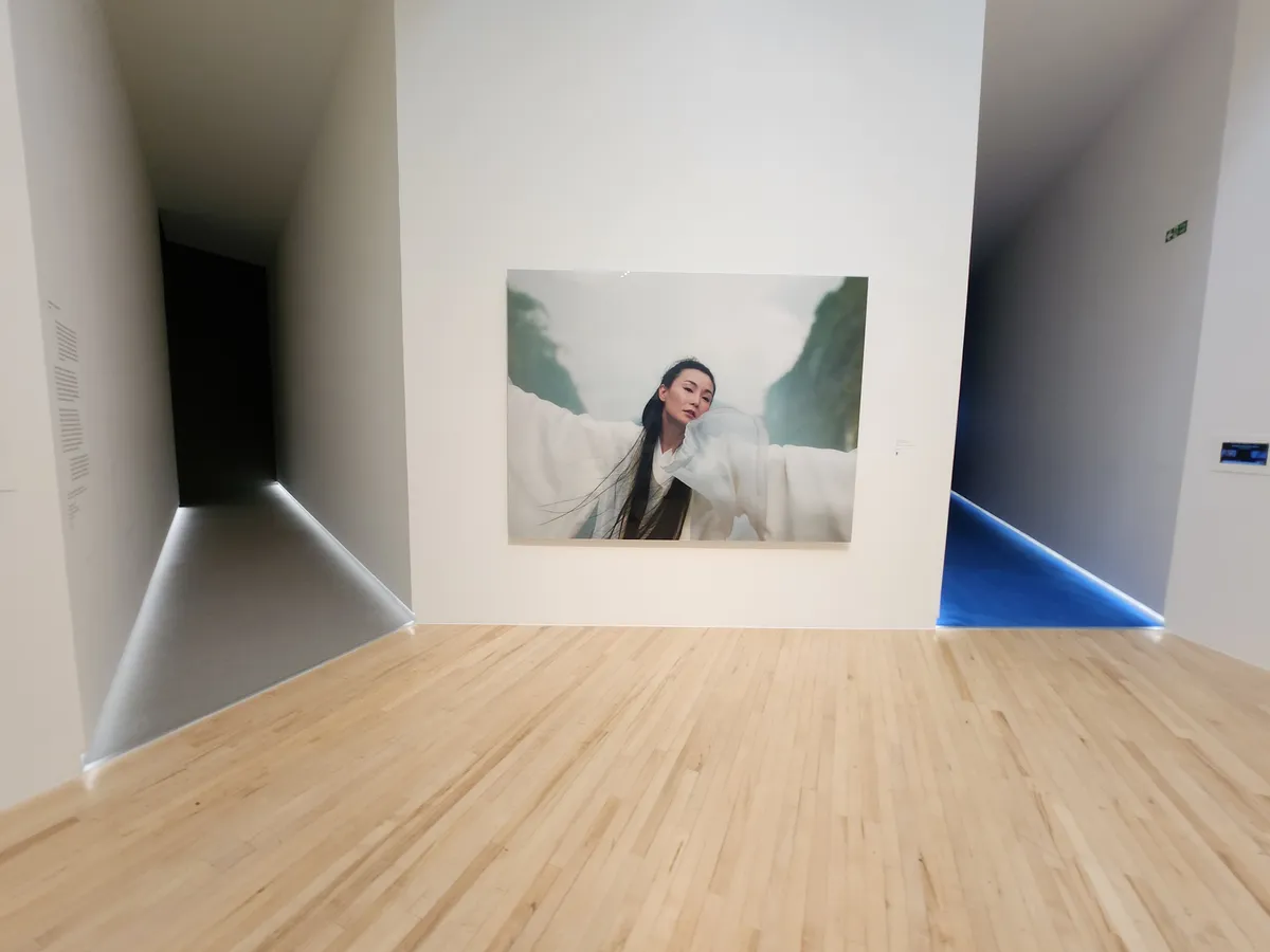 Isaac Julien Gallery Image 16